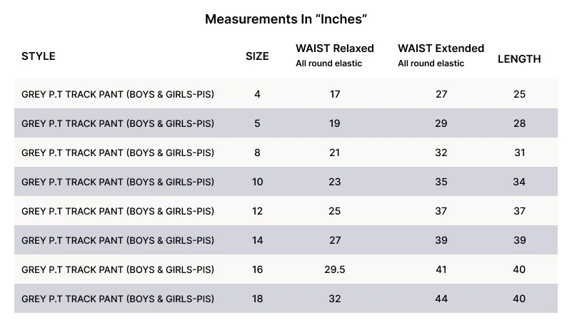 PT TRACK PANT GREY.webp