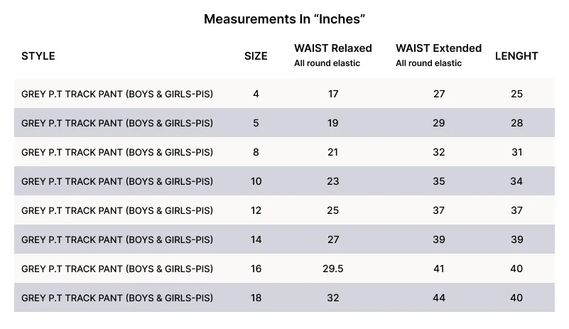 PT TRACK PANT GREY.webp